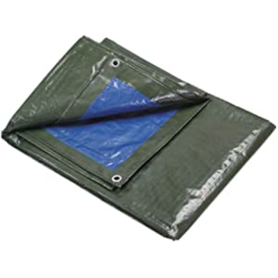 TELONE regolare e Heavy Duty copertura impermeabile Telone Terreno Foglio Verde Blu 